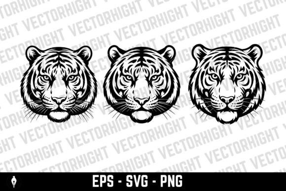 Download Tiger Head Illustration - Tiger Collection